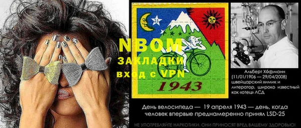 хмурый Магас
