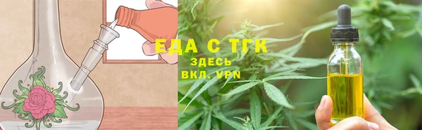 хмурый Магас