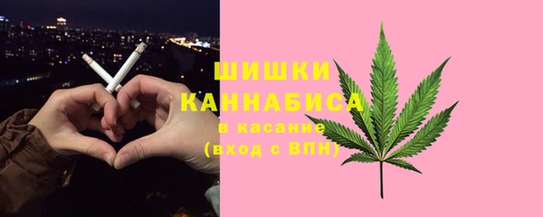 хмурый Магас