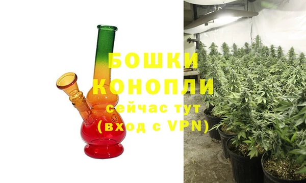 хмурый Магас