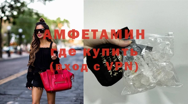 хмурый Магас