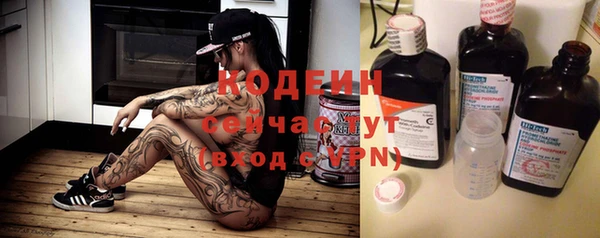 хмурый Магас