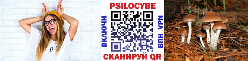 Псилоцибиновые грибы Magic Shrooms  Черняховск 