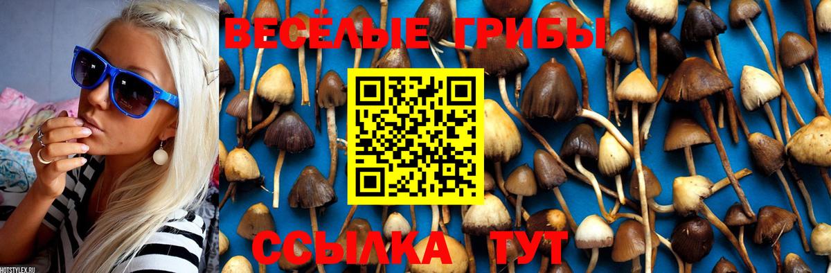 Черняховск  Галлюциногенные грибы Magic Shrooms  Вход с VPN 