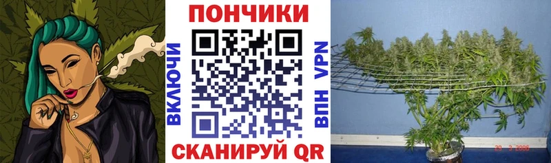 Каннабис гибрид  Черняховск 